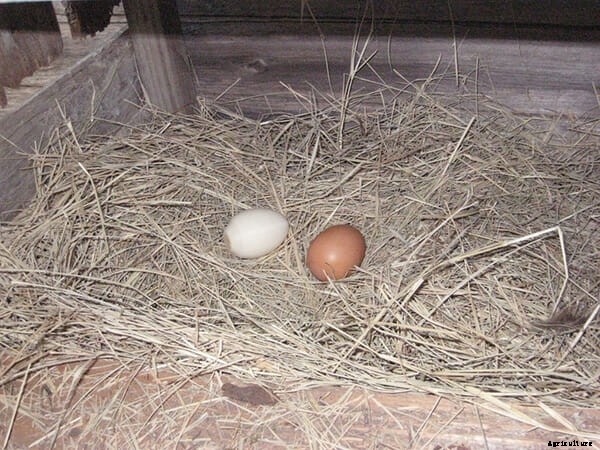 DIY Garden Gear, Made With a 3D Printer