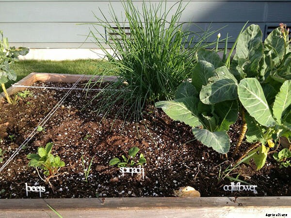 DIY Garden Gear, Made With a 3D Printer