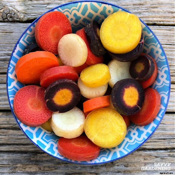 Rainbow carrots: The best red, purple, yellow and white varieties to grow