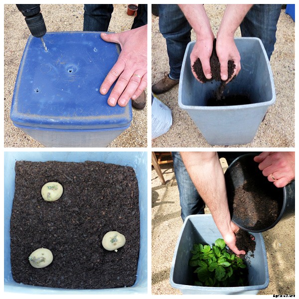 Two clever and easy DIY projects for growing food in small spaces