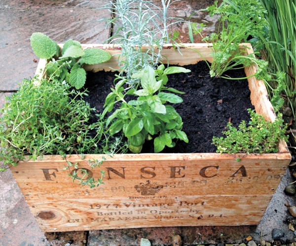 Two clever and easy DIY projects for growing food in small spaces