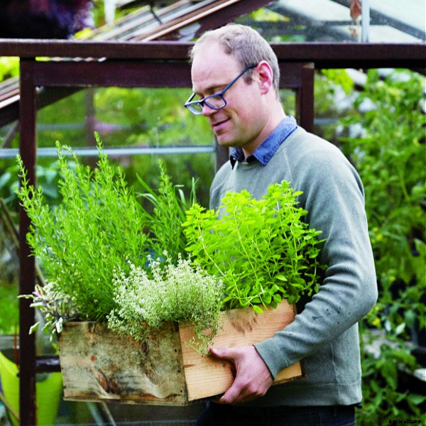 Two clever and easy DIY projects for growing food in small spaces