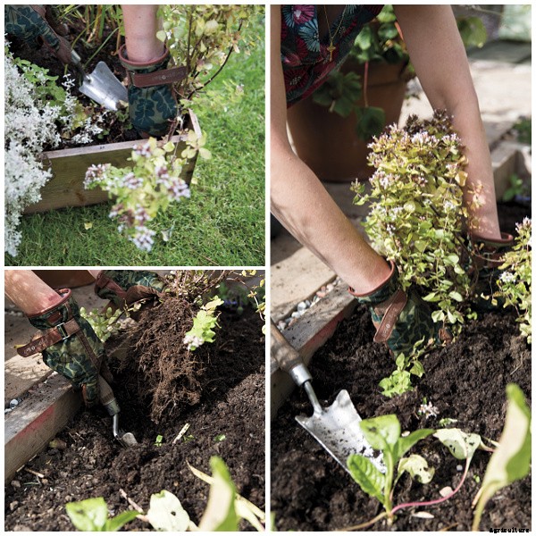 Two clever and easy DIY projects for growing food in small spaces