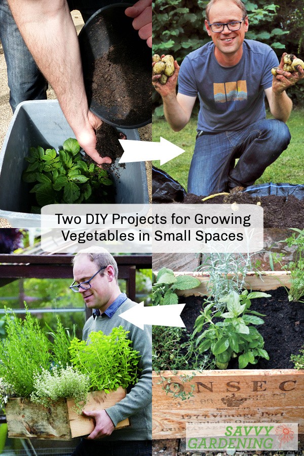 Two clever and easy DIY projects for growing food in small spaces