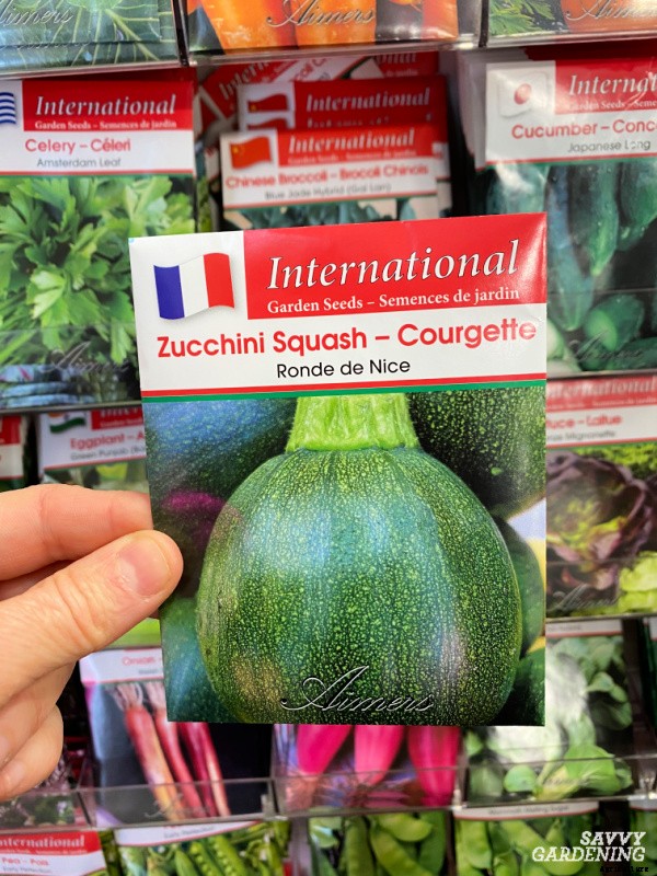 Round zucchini: A growing guide from seed to harvest