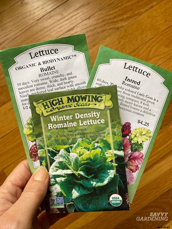 Growing romaine lettuce: A guide from seed to harvest