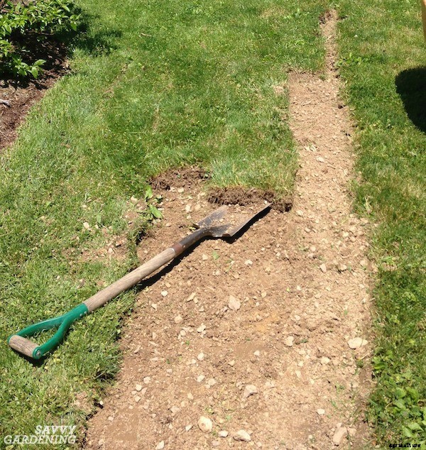 How to start a vegetable garden fast (and on a budget!)