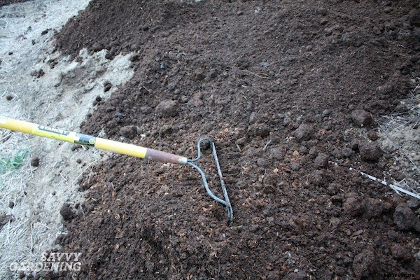 How to start a vegetable garden fast (and on a budget!)