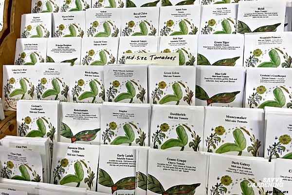 The best tomatoes for containers and 7 strategies for growing them in pots