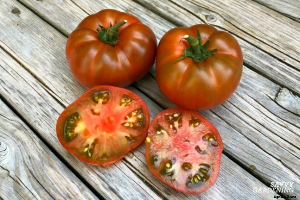 The best tomatoes for containers and 7 strategies for growing them in pots