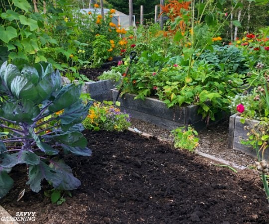 A vegetable garden planner for a healthy and productive garden