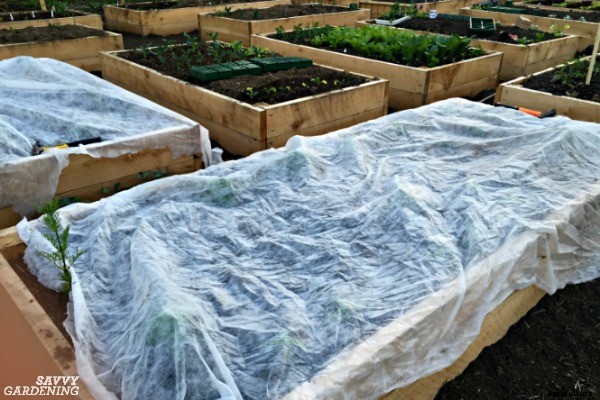 A vegetable garden planner for a healthy and productive garden