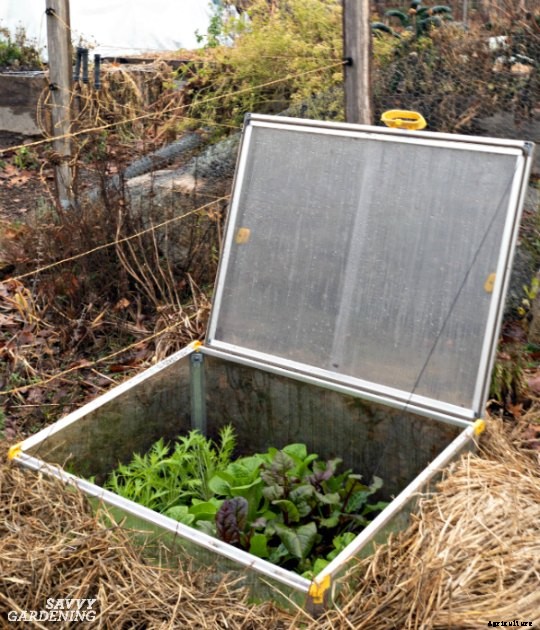 A vegetable garden planner for a healthy and productive garden