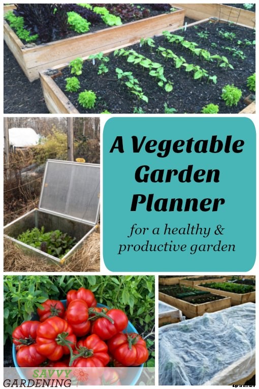 A vegetable garden planner for a healthy and productive garden