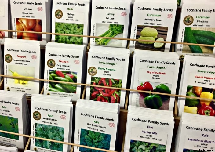 Growing hot peppers in gardens and containers