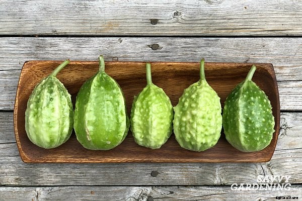 Unique vegetables to grow in your garden