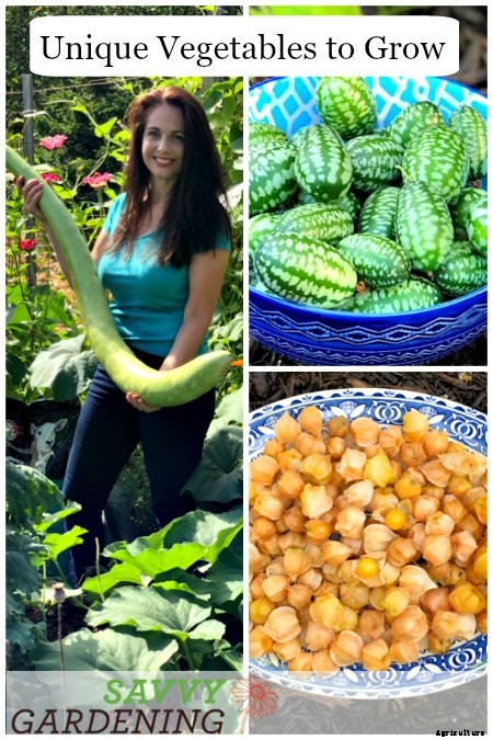 Unique vegetables to grow in your garden