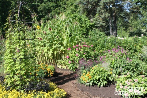 Edible Garden Design Ideas