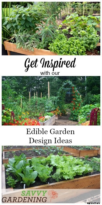 Edible Garden Design Ideas