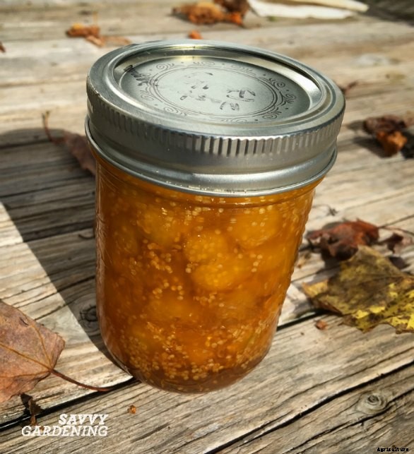 How to grow ground cherries in a garden