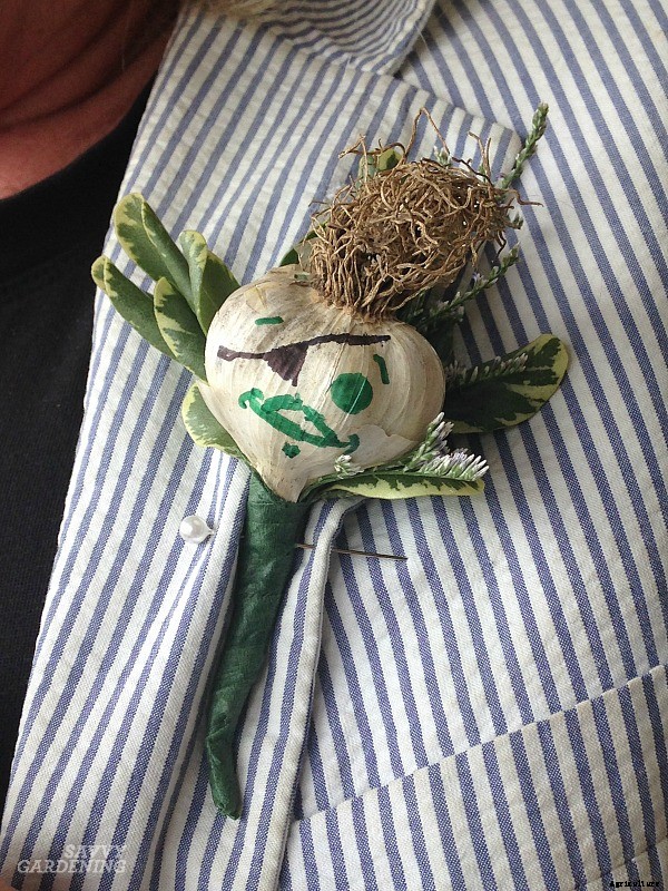 Hardneck vs softneck garlic: Choosing and planting the best garlic