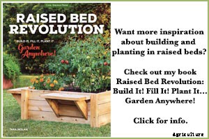 5 tips for growing tomatoes in raised beds