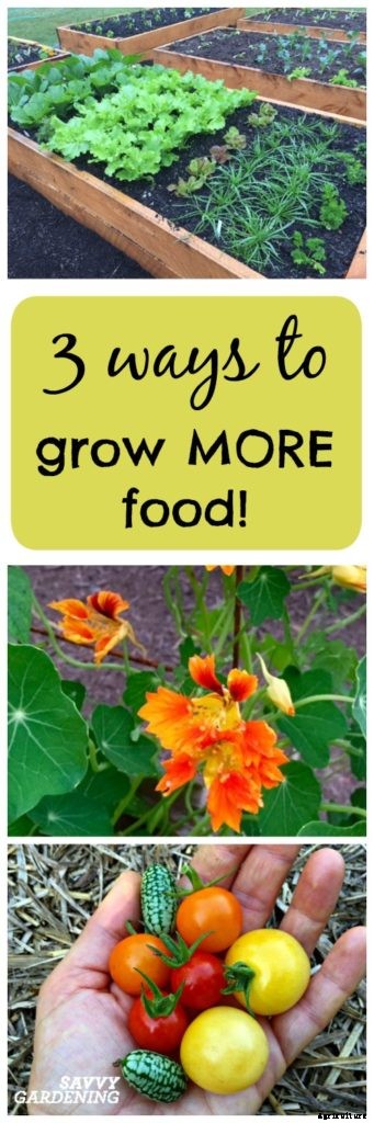 3 ways to grow more food this year