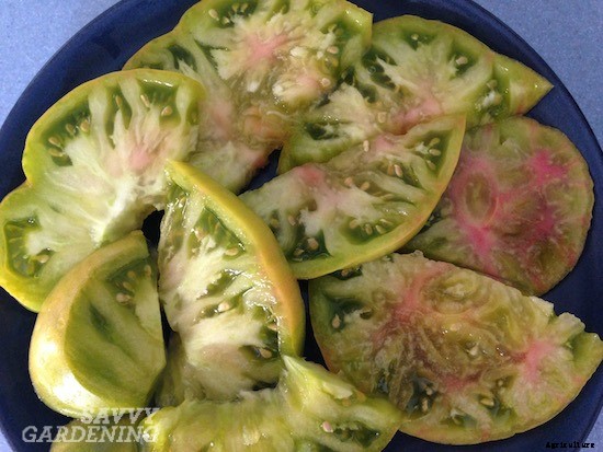 Heirloom tomato varieties for your garden