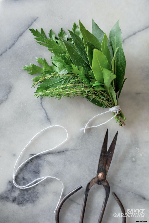 Preserving herbs: Drying, freezing, and more