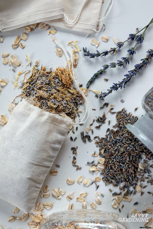 Preserving herbs: Drying, freezing, and more
