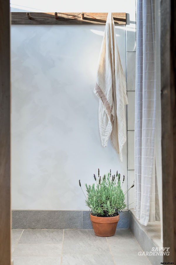 Preserving herbs: Drying, freezing, and more