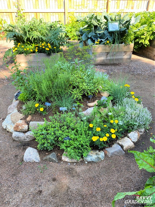 An herb spiral: A beautiful and productive bed for growing garden herbs