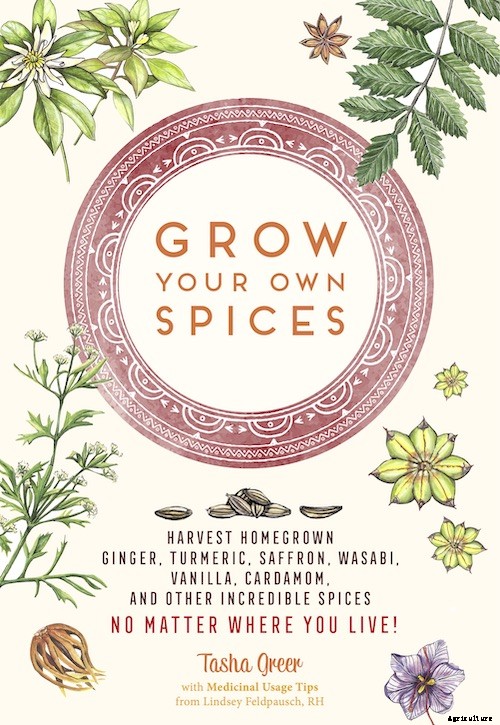 Growing wasabi and horseradish in a home garden