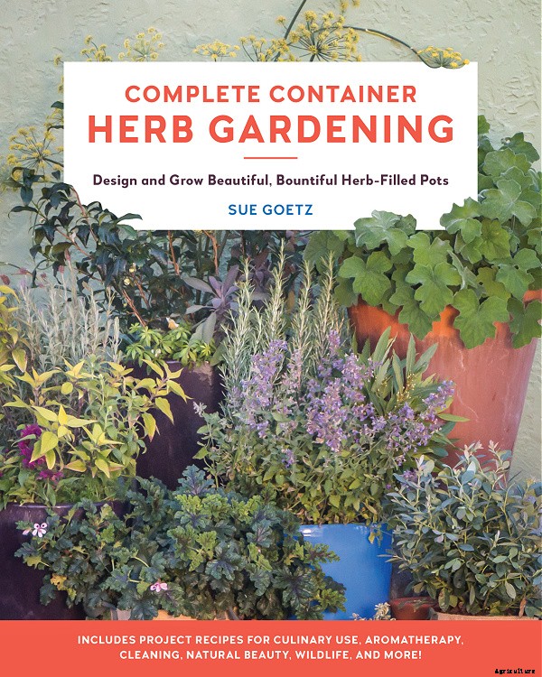 Learn how to grow herbs in containers for healthy plants and convenient harvests