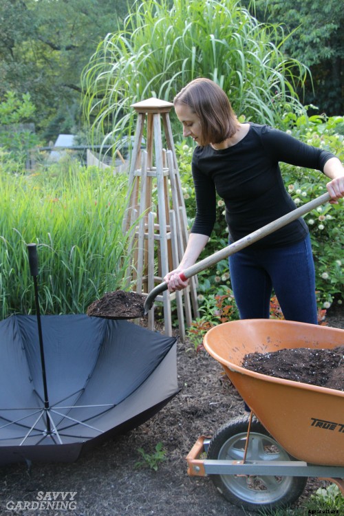 Planting a spring herb garden for homegrown herbal teas