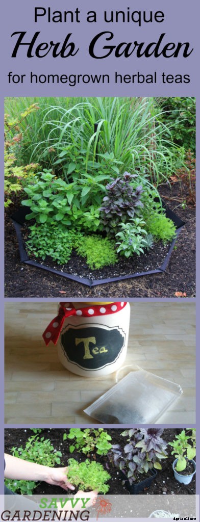 Planting a spring herb garden for homegrown herbal teas