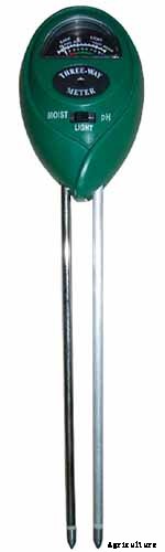 How to Grow Lilacs in Pots and Planters