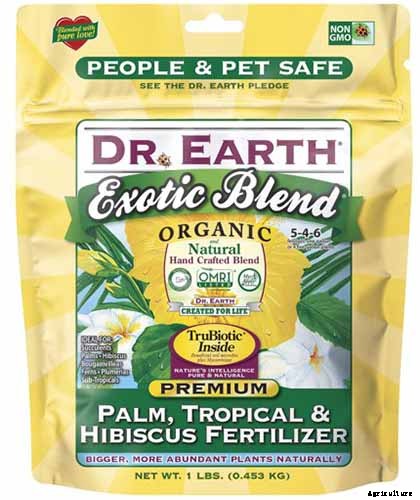 Why Is There a Red Sheath on My Ficus Elastica? Do Rubber Trees Flower?