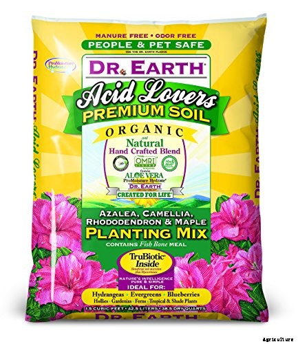 Bring Their Intoxicating Scent Inside: Tips for Growing Gardenias as Houseplants