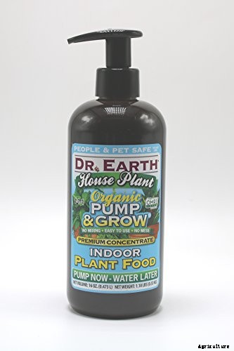 How to Grow and Care for Hoya Houseplants