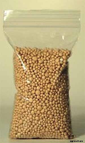 How to Grow and Train Dracaena Plants as Bonsai