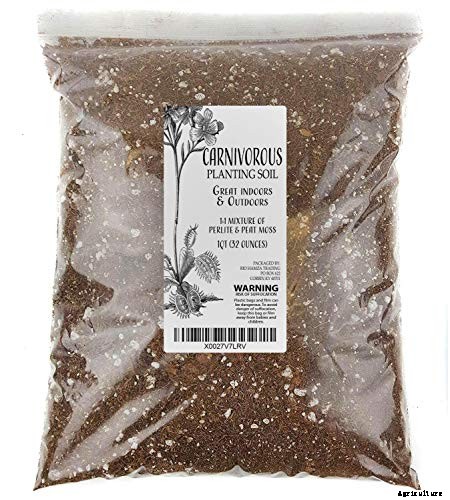 How to Grow a Venus Flytrap as a Houseplant