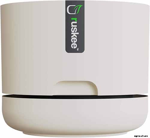 How to Grow a Venus Flytrap as a Houseplant