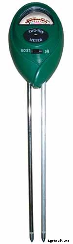 Must-Have Tips for Growing Inkberry Holly