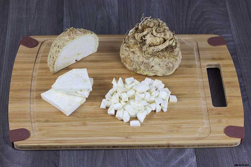 How to Plant and Grow Celery Root (Celeriac)