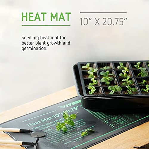 How to Grow and Care for Agave in the Garden