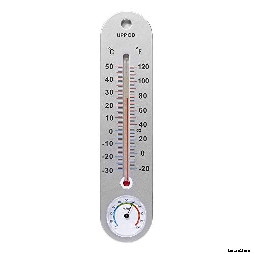 Worth Its Stripes: How to Grow and Care for Calathea Zebrina Plants