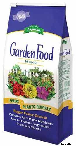 Tips for Calla Lily Winter Care