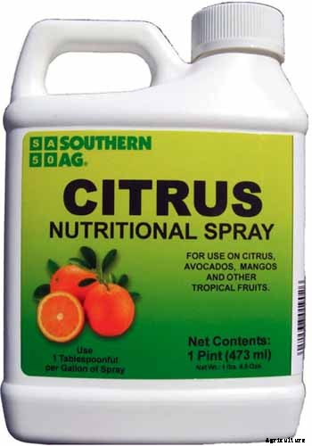 How and When to Fertilize Fruiting Pomegranates