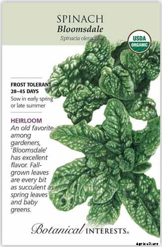 7 Hardy Salad Greens for Winter Gardens